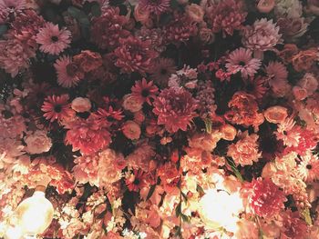 Full frame shot of flowering plants