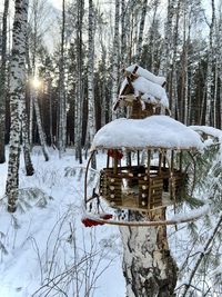 Snow covered land and trees in forest