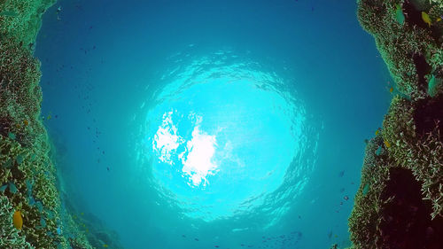water