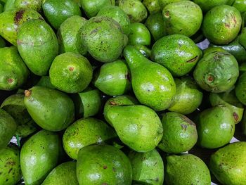 Full frame shot of avocado