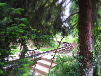 Railroad track in forest