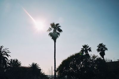 Low angle view of silhouette trees against sky