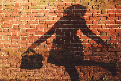 Shadow of person on brick wall