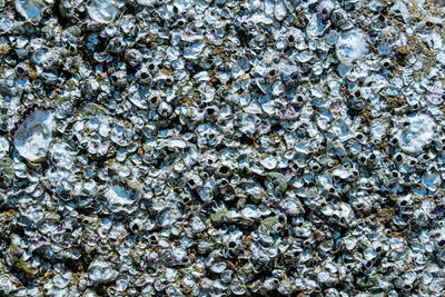 High angle view of stones on rock