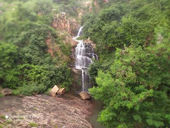 Scenic view of waterfall in forest