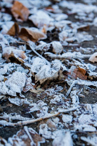 Full frame shot of snow covered field