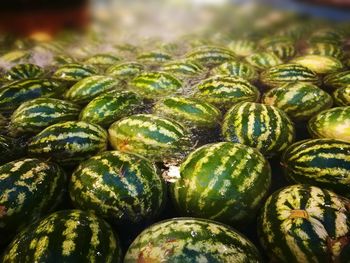 Close-up of fruits for sale in market