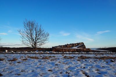 Bare trees on snow covered landscape