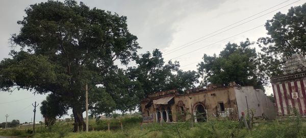 Low angle view of old building and trees on field