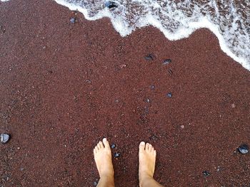 Low section of person standing on beach