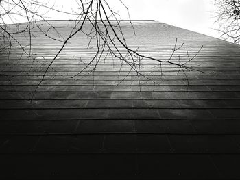 Scenic view of tree against sky
