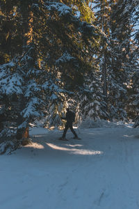 An unrecognizable male hiker wearing snowshoes walking in a forest in the french alps