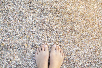 Low section of woman standing on beach