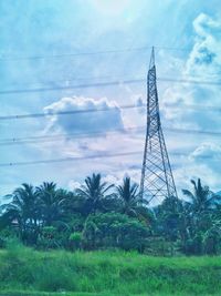 Palm trees against sky