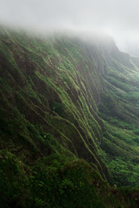 Hawaii hiking 
