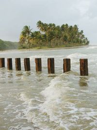 View of pier in sea