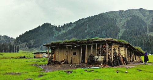 Houses on grassy field
