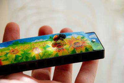 Close-up of hand holding small