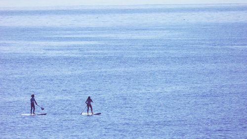 Silhouette women paddleboarding in sea