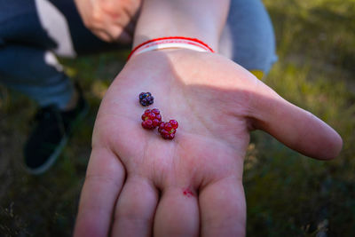 Close-up of woman hand holding strawberry