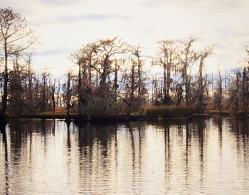 Scenic view of lake in forest against sky