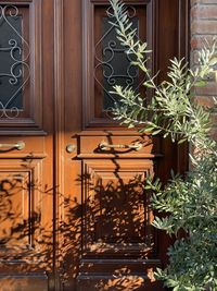 Potted plants against window of building