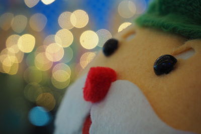 Close-up of christmas tree