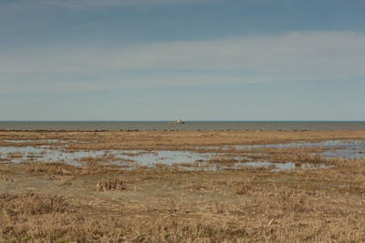 Scenic view of beach against sky