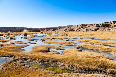 Scenic view of landscape against clear blue sky