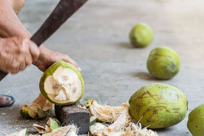Close-up of hand holding fruits