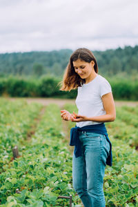 Woman is picking strawberries at a u-pick farm in washington