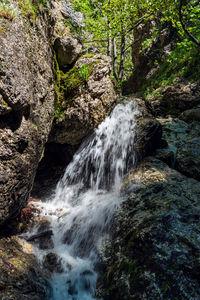 Scenic view of waterfall