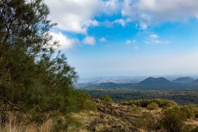 Scenic view of landscape against sky