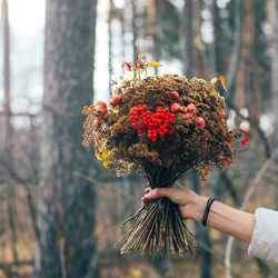 Low angle view of woman holding flower against tree