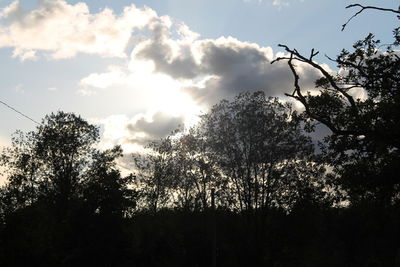 Low angle view of silhouette trees against sky