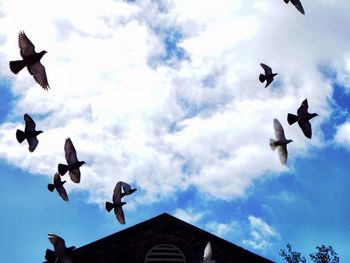 Low angle view of seagull flying against cloudy sky
