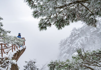 Scenic view of snow covered trees against sky