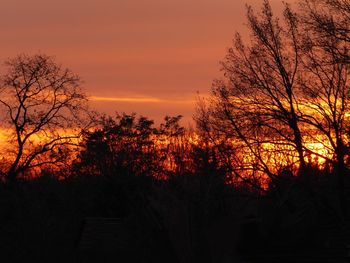 Silhouette bare trees against romantic sky at sunset