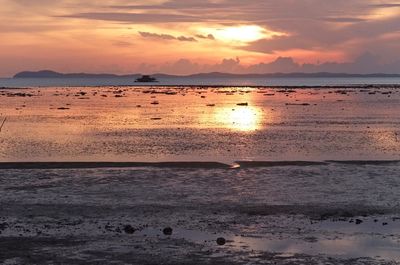 Scenic view of sea at sunset
