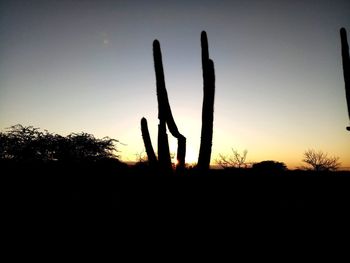 Silhouette cactus plants on field against sky during sunset