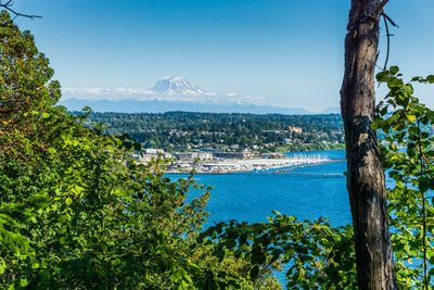 A view of the marina in des moines, washington with mount rainier in the distance.