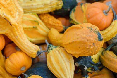 Full frame shot of fruits for sale at market stall