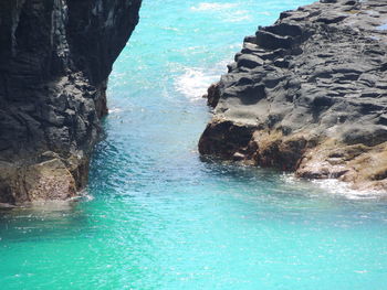 Close-up of swimming pool