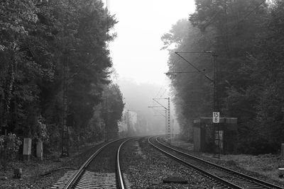 Railway tracks amidst trees against sky