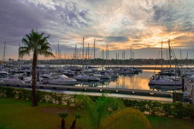 Sailboats moored at harbor against sky during sunset