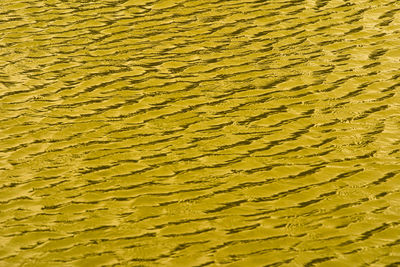 Full frame shot of wet sand