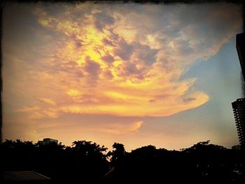 Silhouette of trees against cloudy sky