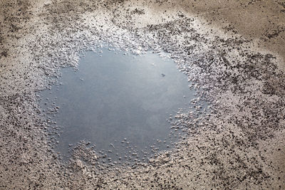 High angle view of puddle on road