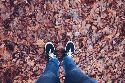 Low section of person standing on autumn leaves