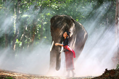 Man standing by waterfall in forest